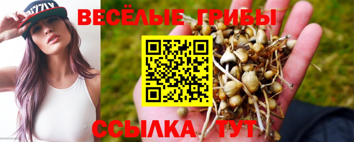 Елизово  Галлюциногенные грибы MAGIC MUSHROOMS  Вход с VPN 